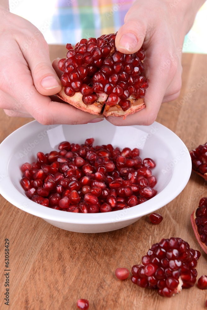 Female hands collecting seeds of  pomegranate close-up