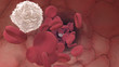 Blutkörperchen in einer Arterie