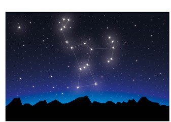 Wall Mural - constellation orion