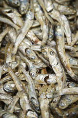 Wall Mural - Dried anchovies