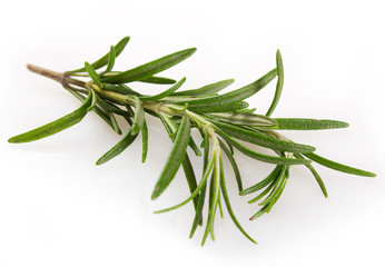 Poster - Fresh rosemary