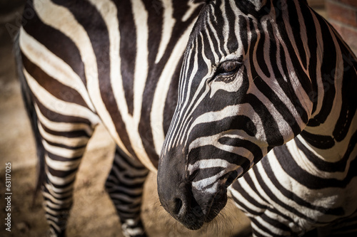 Board z aluminiowym obramowaniem Zebra