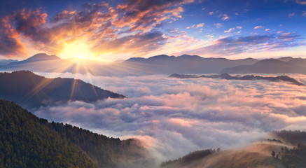 Wall Mural - Panorama of misty morning in the mountains in summer