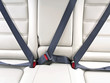 fasten seat belts in the car for   safety