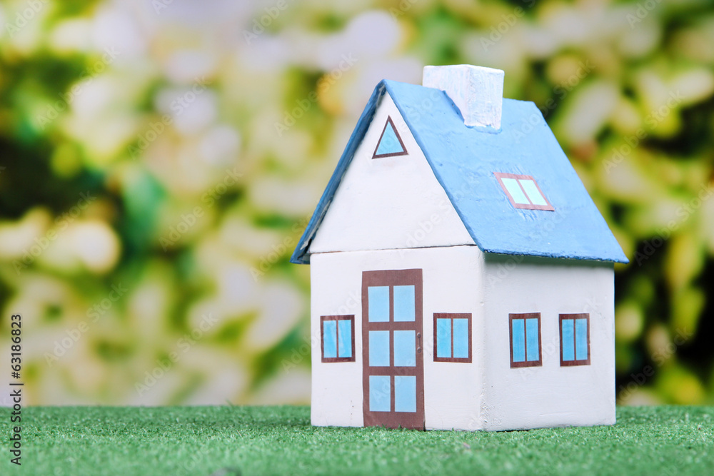 Little house on green grass, on bright background