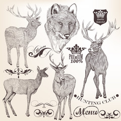 Wall Mural - Collection of hand drawn animals for design