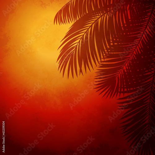 Board z aluminiowym obramowaniem Gałęzie palm na zachodzie słońca