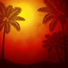 Wall Mural - palm trees at sunset