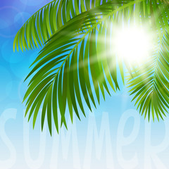 Wall Mural - palm tree