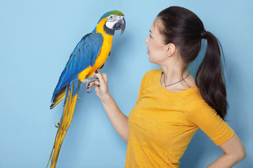 Macaw