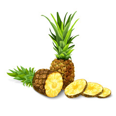 Sticker - Pineapple isolated poster or emblem