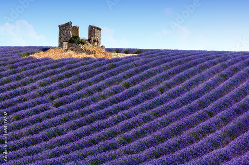 Obraz na płótnie canvas Panoramiczny widok lawendowych poly w provence, france