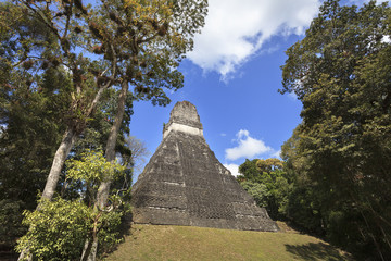 Poster - Mayan pyramid in Tikal, Guatemala