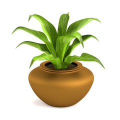 realistic 3d render of plant