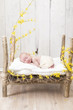 Newborn Baby schlafend in einem Holzbett mit Frühjahrsdeko