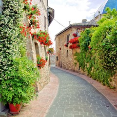Fototapete - Flower lined street in the town of Assisi, Italy