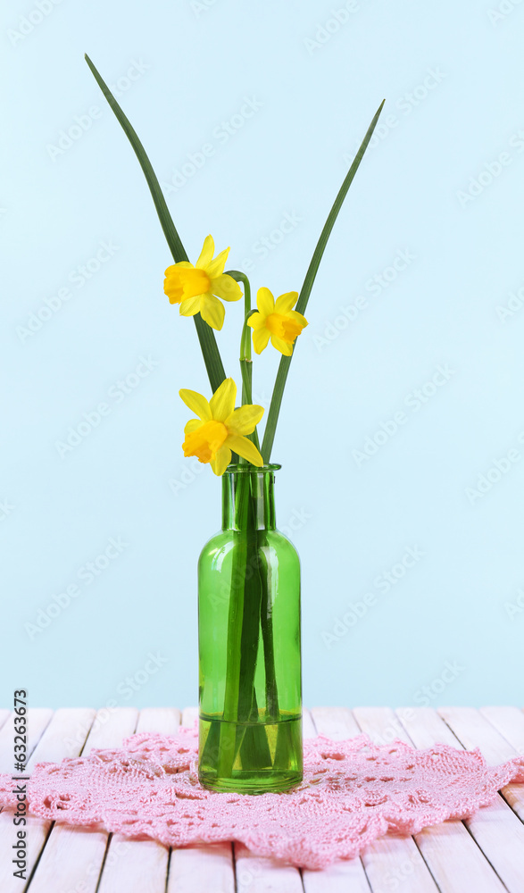 Beautiful irises and daffodils in bottle, on blue background