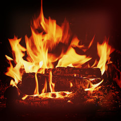 Fireplace with birch firewood and flame.