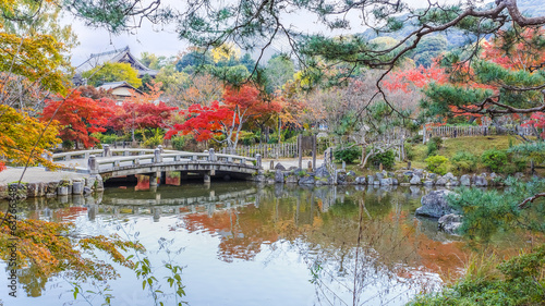 Naklejka samoprzylepna Park maruyama w Kioto