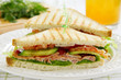 © ld1976 - Sandwich with vegetable rotbifom...
