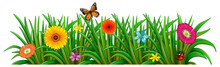 A Garden With Fresh Blooming Flowers, A Butterfly And A Ladybug