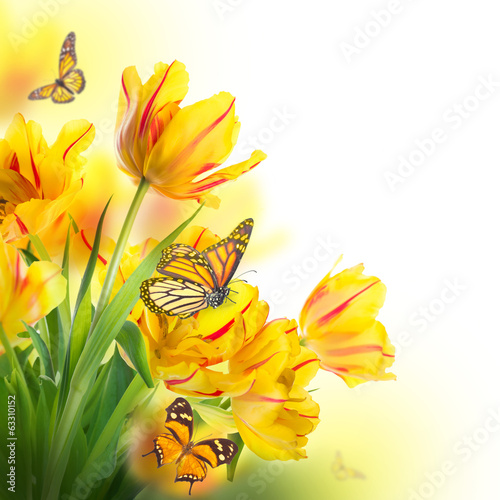 Board z aluminiowym obramowaniem Czerwone tulipany i motyl. 