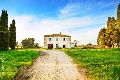 stary-zaniechany-wiejski-dom-droga-i-drzewa-na-zmierzchu-tuscany-ita