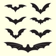 Vector group of bat