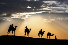 Desert Local Walks With Camel Through Thar Desert