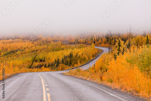 Fotoboard na płycie Winding golden fall tajga road yukon kanada