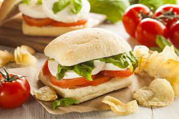 Wall Mural - Organic Homemade Caprese Sandwich