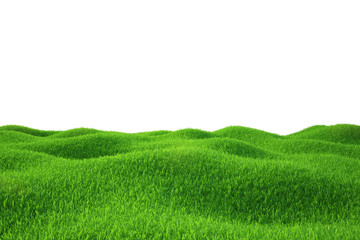 Wall Mural - Green grass field