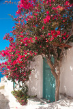 Fototapeta Do przedpokoju - Traditional greek alley on Sifnos island, Greece