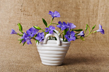 Basket With Blue Flowers Periwinkles