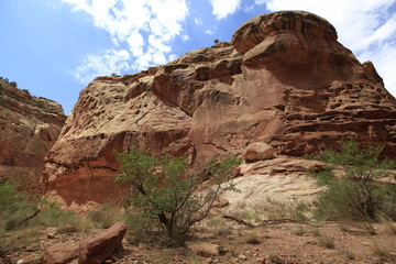 Sticker - capitol Reef, Utah