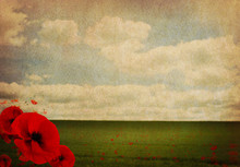 WW1 First World War Abstract Background With Poppies