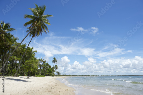 Board z aluminiowym obramowaniem Palmy pusty tropikalny brazylijski plaży