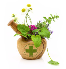 Wooden mortar with pharmacy cross and fresh herbs