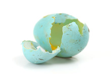 Broken Blue Egg Free Stock Photo - Public Domain Pictures