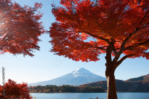 Naklejka samoprzylepna Jesień liście Mt Kawaguchi i Mt Fuji