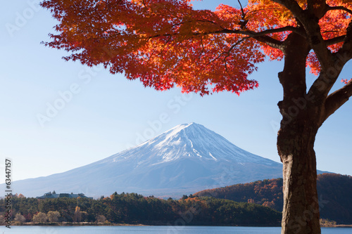 Naklejka samoprzylepna Jesień liście Mt Kawaguchi i Mt Fuji