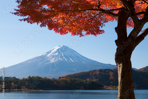 Board z aluminiowym obramowaniem Jesień liście Mt Kawaguchi i Mt Fuji