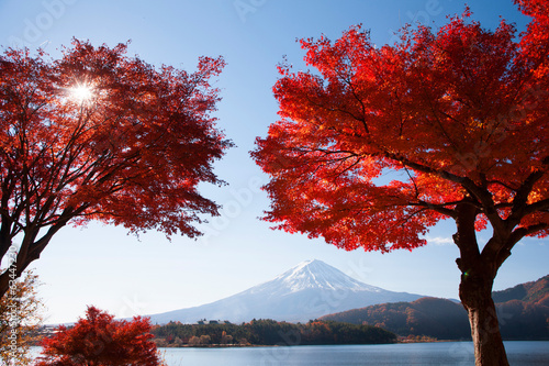 Naklejka samoprzylepna Jesień liście Mt Kawaguchi i Mt Fuji