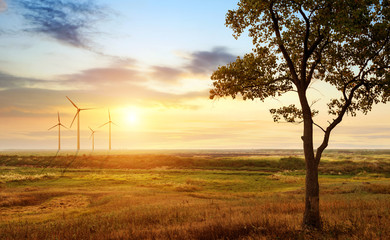 Wall Mural - Separation turbine generator on the prairie