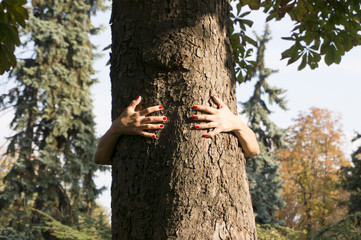 female hands hugging a tree