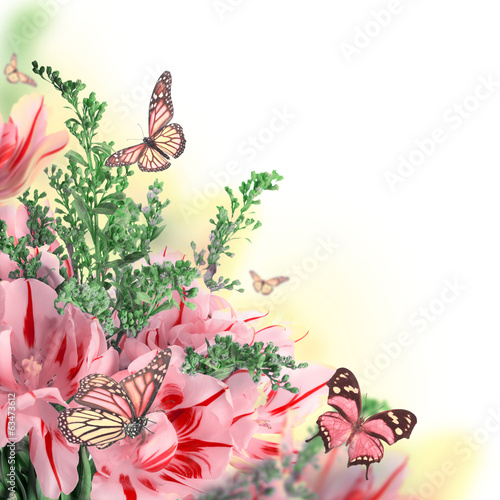 Tapeta ścienna Czerwone tulipany i motyl. 