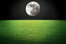 Night Moon And Field