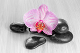 Fototapeta Panele - Pink orchid on wooden background