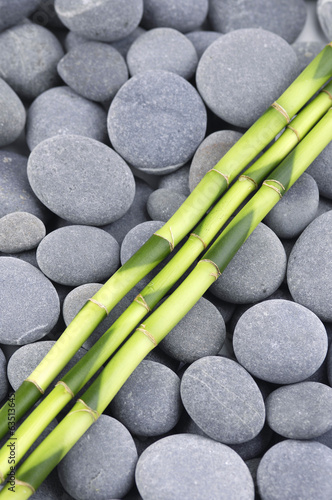 Naklejka na drzwi thin bamboo grove on zen pebbles