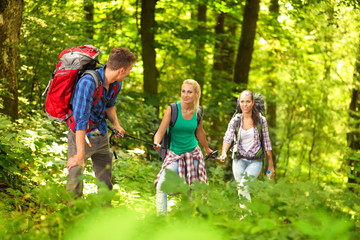 Wall Mural - hiking through the forest